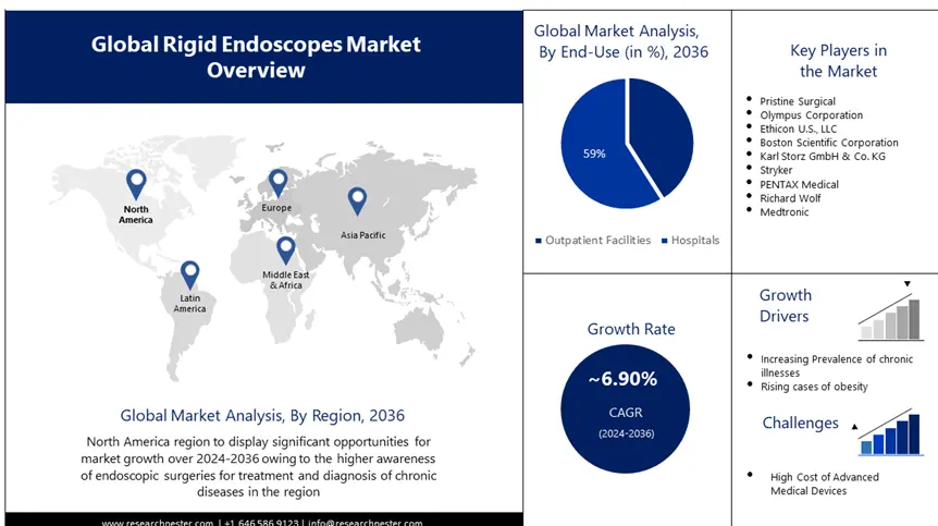 Rigid Endoscopes Market overview